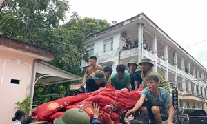 Nhiều nạn nhân vụ lũ quét thôn ở Lào Cai nguy kịch, sang chấn tâm lý