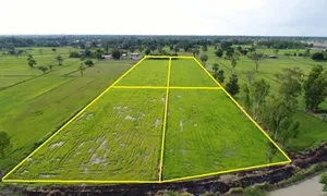 'Đánh thuế đất ở hàng năm hiệu quả hơn thuế BĐS thứ hai'